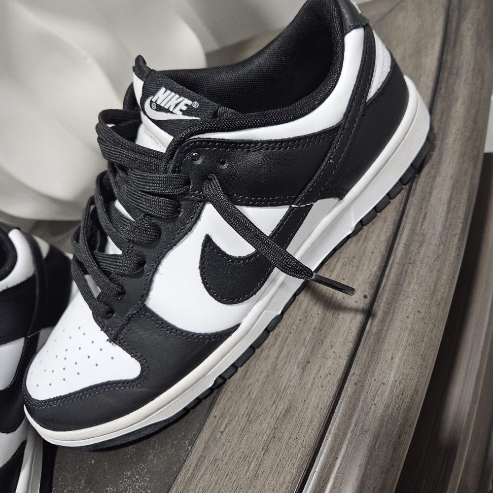Nike Dunk Retro